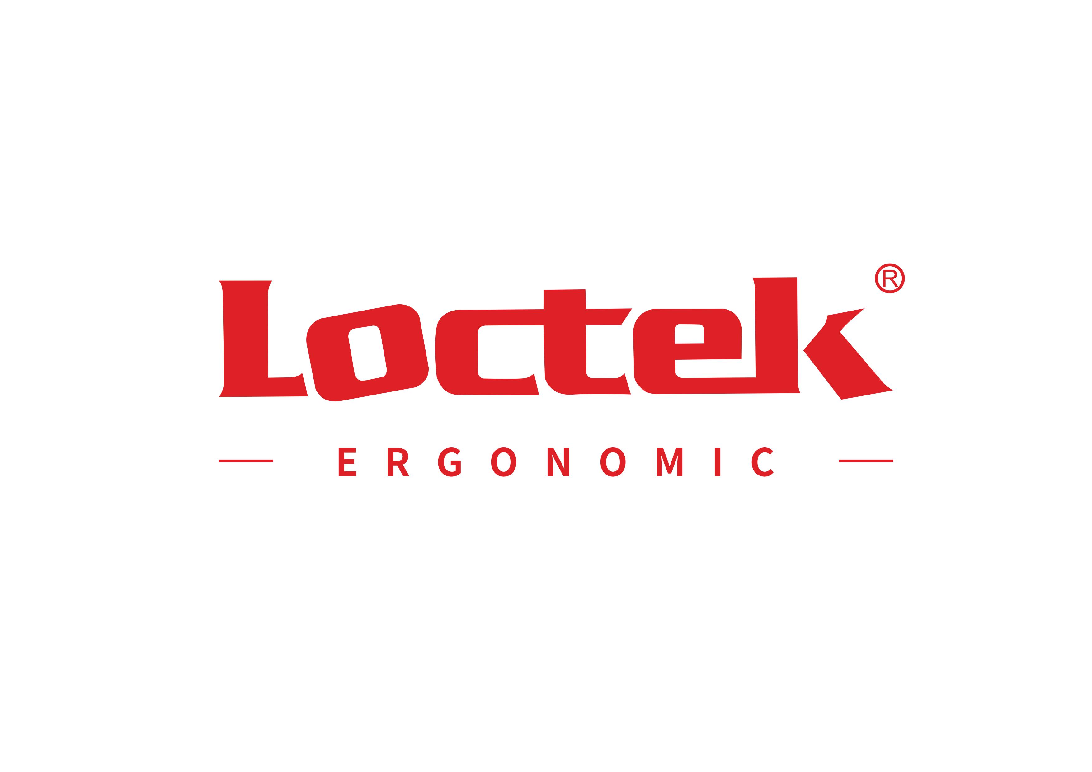 Buy the Loctek YZ502 Ergonomic Sit & Standing Bundle With Anti